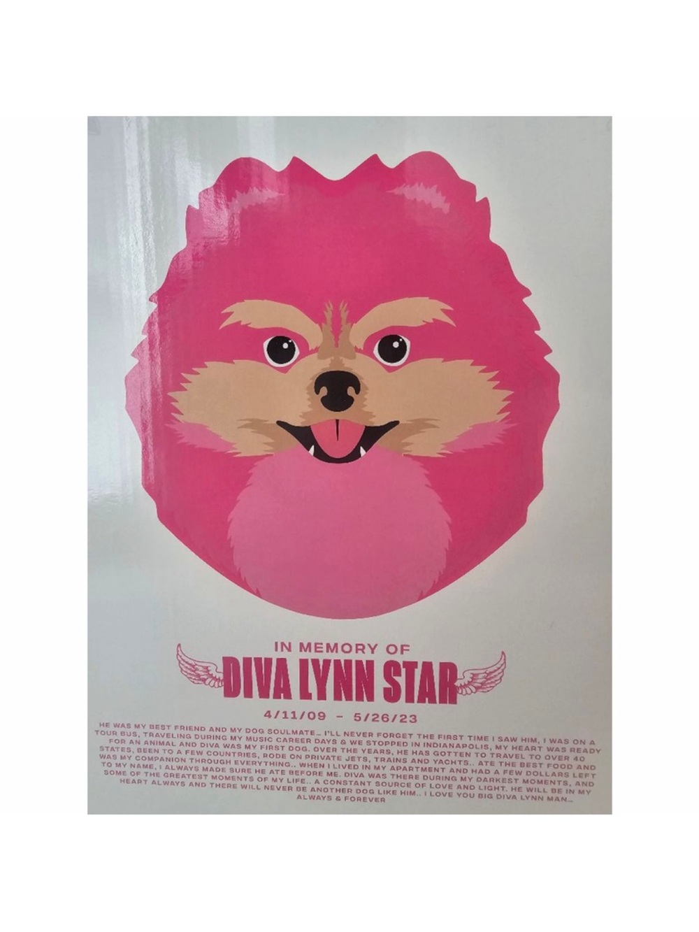 🆕️Jeffree Star Pets Diva Lynn Memorial Makeup Hand Mirror NIB - Picture 3 of 5